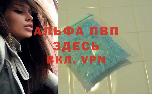 ешки Гусев