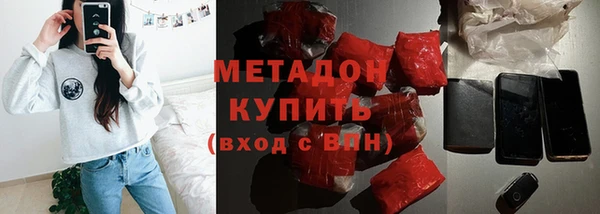 шишки Дмитровск