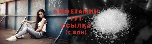 шишки Дмитровск