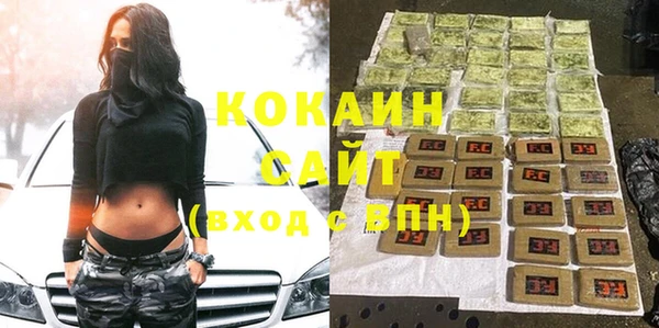 шишки Дмитровск