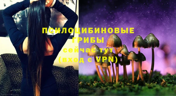 крисы Гусь-Хрустальный