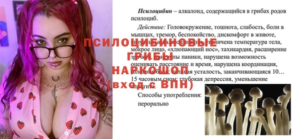 шишки Дмитровск