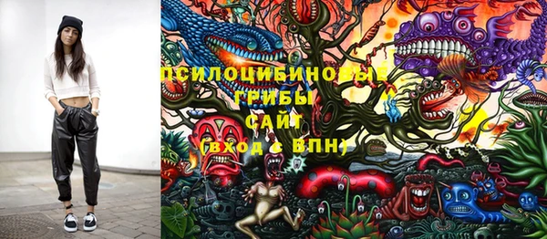 винт Дмитров