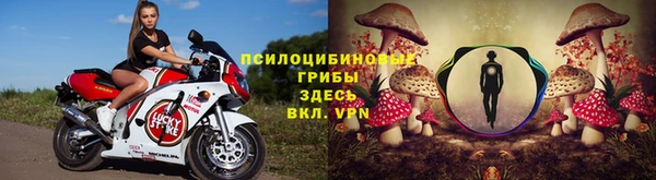 ешки Гусев